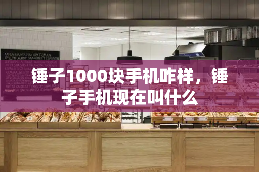 锤子1000块手机咋样，锤子手机现在叫什么