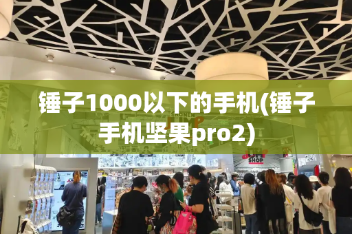锤子1000以下的手机(锤子手机坚果pro2)