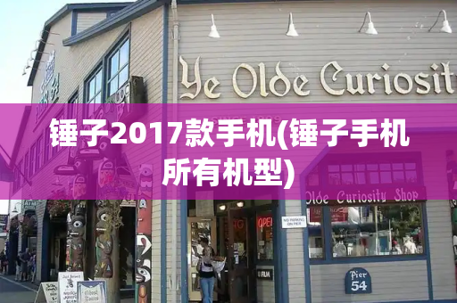 锤子2017款手机(锤子手机所有机型)