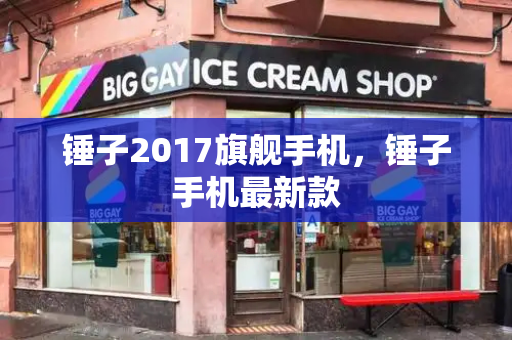 锤子2017旗舰手机，锤子手机最新款-第1张图片-星选测评