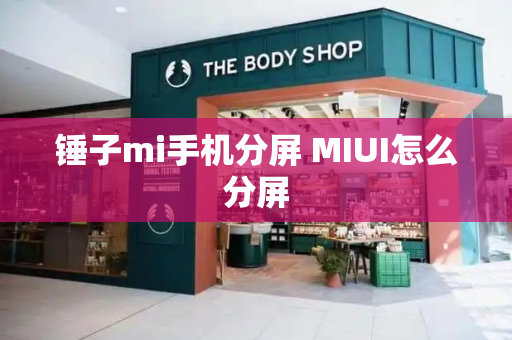锤子mi手机分屏 MIUI怎么分屏
