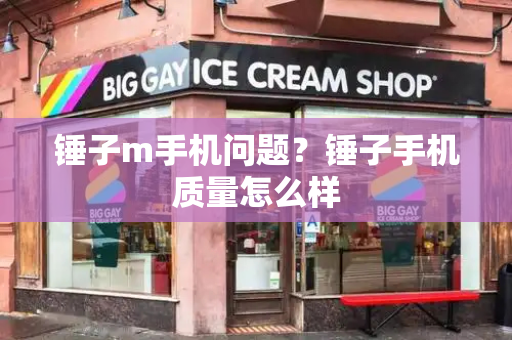 锤子m手机问题？锤子手机质量怎么样-第1张图片-星选测评