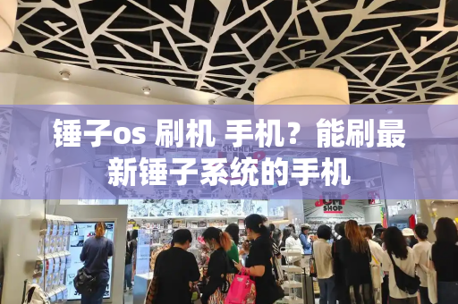 锤子os 刷机 手机？能刷最新锤子系统的手机-第1张图片-星选测评