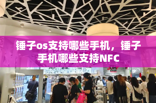 锤子os支持哪些手机，锤子手机哪些支持NFC-第1张图片-星选测评