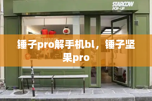 锤子pro解手机bl，锤子坚果pro