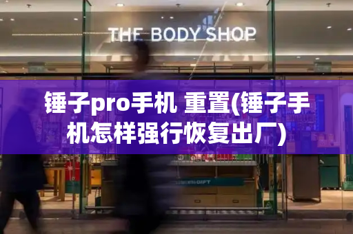 锤子pro手机 重置(锤子手机怎样强行恢复出厂)