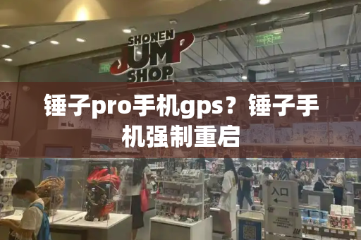 锤子pro手机gps？锤子手机强制重启-第1张图片-星选测评