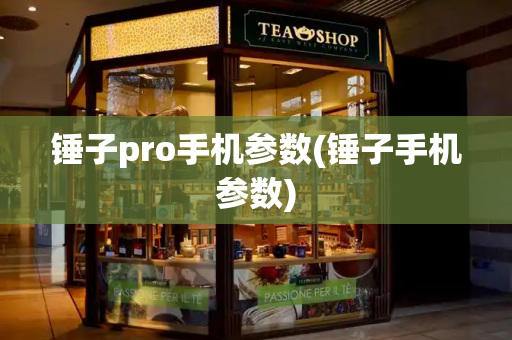 锤子pro手机参数(锤子手机参数)