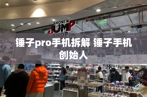 锤子pro手机拆解 锤子手机创始人-第1张图片-星选测评