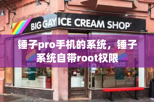 锤子pro手机的系统，锤子系统自带root权限-第1张图片-星选测评