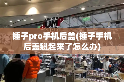 锤子pro手机后盖(锤子手机后盖翘起来了怎么办)