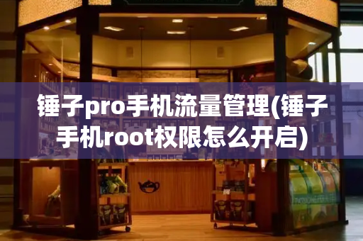 锤子pro手机流量管理(锤子手机root权限怎么开启)-第1张图片-星选测评