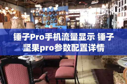 锤子Pro手机流量显示 锤子坚果pro参数配置详情-第1张图片-星选测评