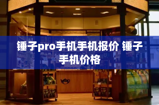 锤子pro手机手机报价 锤子手机价格-第1张图片-星选测评