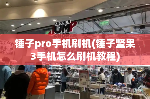 锤子pro手机刷机(锤子坚果3手机怎么刷机教程)