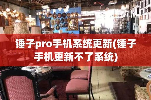 锤子pro手机系统更新(锤子手机更新不了系统)-第1张图片-星选测评