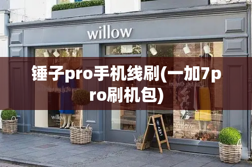 锤子pro手机线刷(一加7pro刷机包)