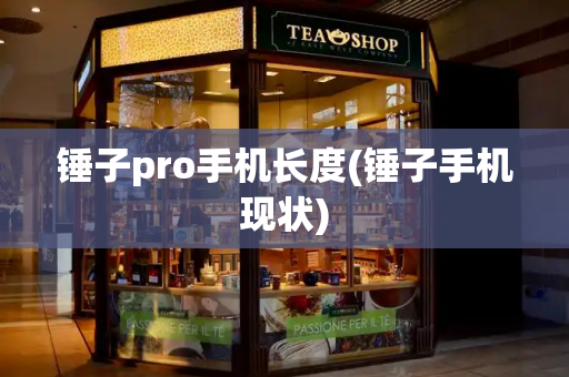 锤子pro手机长度(锤子手机现状)-第1张图片-星选测评