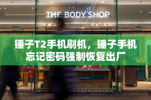 锤子T2手机刷机，锤子手机忘记密码强制恢复出厂-第1张图片-星选测评