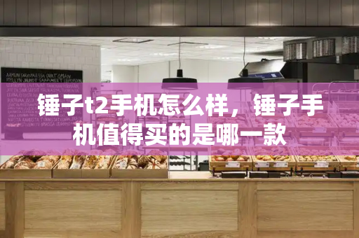 锤子t2手机怎么样，锤子手机值得买的是哪一款