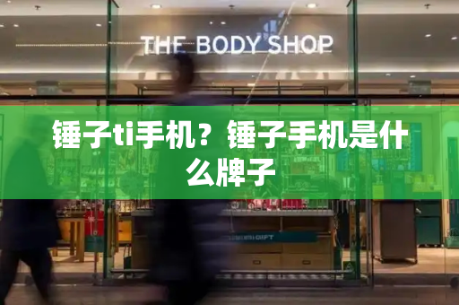 锤子ti手机？锤子手机是什么牌子-第1张图片-星选测评