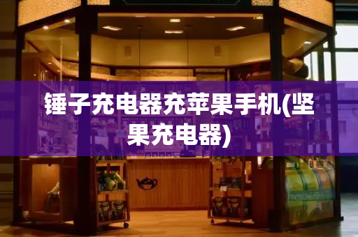 锤子充电器充苹果手机(坚果充电器)