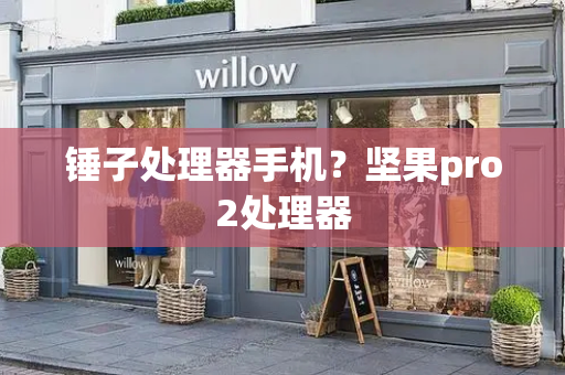 锤子处理器手机？坚果pro2处理器-第1张图片-星选测评