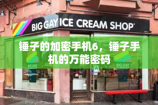锤子的加密手机6，锤子手机的万能密码-第1张图片-星选测评