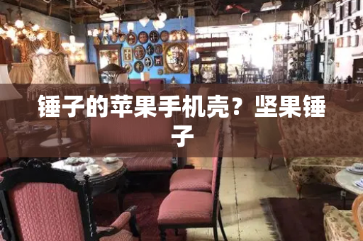 锤子的苹果手机壳？坚果锤子-第1张图片-星选测评