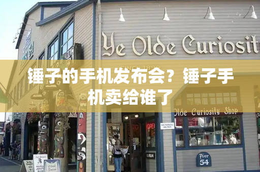 锤子的手机发布会？锤子手机卖给谁了-第1张图片-星选测评