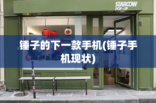 锤子的下一款手机(锤子手机现状)