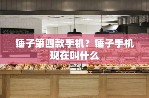 锤子第四款手机？锤子手机现在叫什么-第1张图片-星选测评