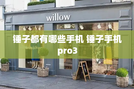 锤子都有哪些手机 锤子手机pro3-第1张图片-星选测评