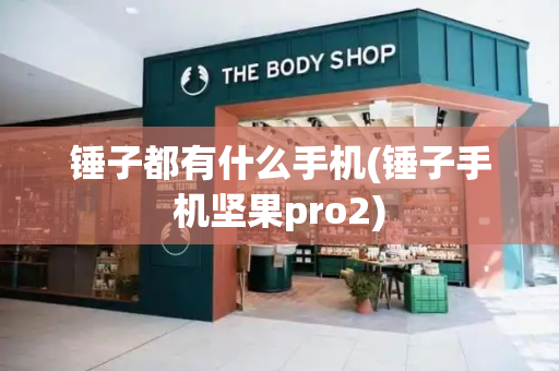 锤子都有什么手机(锤子手机坚果pro2)-第1张图片-星选测评