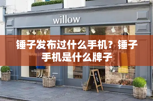 锤子发布过什么手机？锤子手机是什么牌子-第1张图片-星选测评