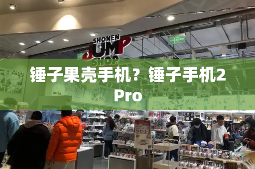 锤子果壳手机？锤子手机2Pro-第1张图片-星选测评