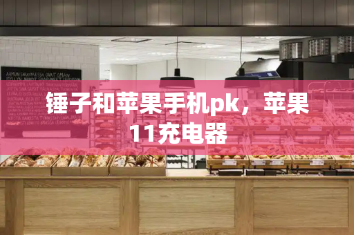 锤子和苹果手机pk，苹果11充电器-第1张图片-星选测评