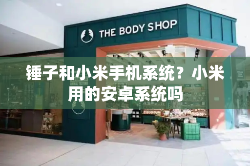 锤子和小米手机系统？小米用的安卓系统吗-第1张图片-星选测评