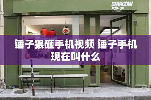 锤子狠砸手机视频 锤子手机现在叫什么