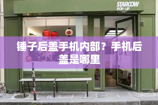 锤子后盖手机内部？手机后盖是哪里-第1张图片-星选测评