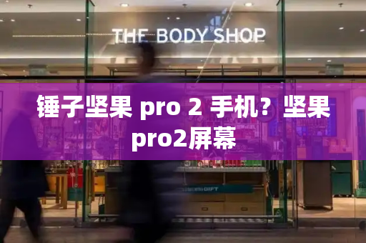 锤子坚果 pro 2 手机？坚果pro2屏幕