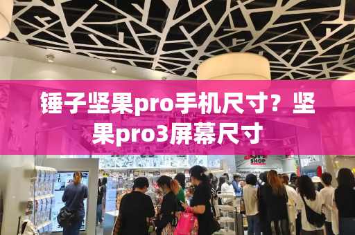 锤子坚果pro手机尺寸？坚果pro3屏幕尺寸