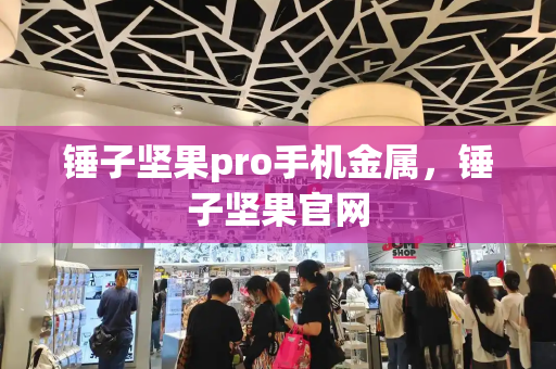 锤子坚果pro手机金属，锤子坚果官网-第1张图片-星选测评