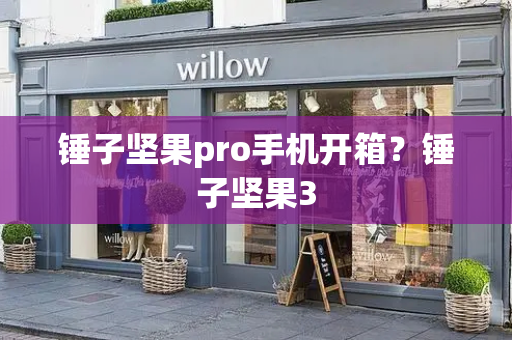 锤子坚果pro手机开箱？锤子坚果3