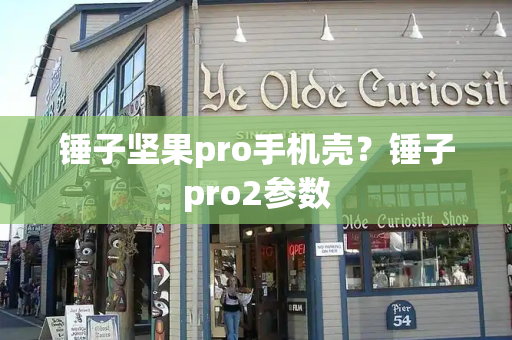 锤子坚果pro手机壳？锤子pro2参数-第1张图片-星选测评