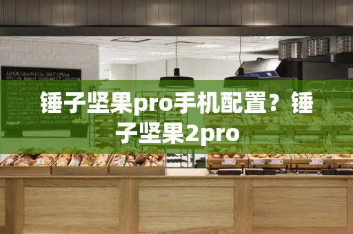 锤子坚果pro手机配置？锤子坚果2pro-第1张图片-星选测评
