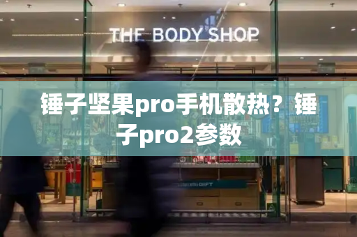 锤子坚果pro手机散热？锤子pro2参数