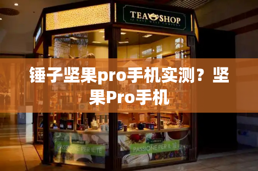 锤子坚果pro手机实测？坚果Pro手机
