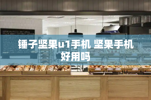 锤子坚果u1手机 坚果手机好用吗-第1张图片-星选测评