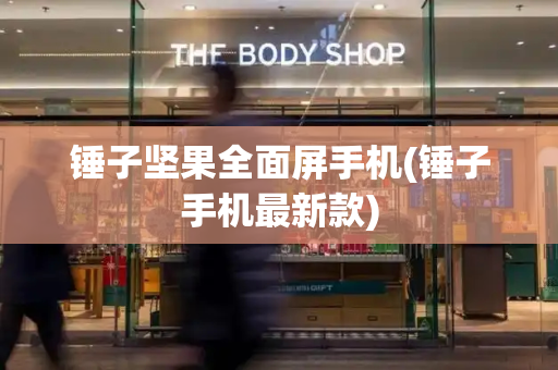 锤子坚果全面屏手机(锤子手机最新款)